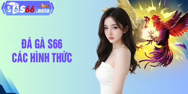 Các hình thức “gây sốt” tại đá gà S66 2026