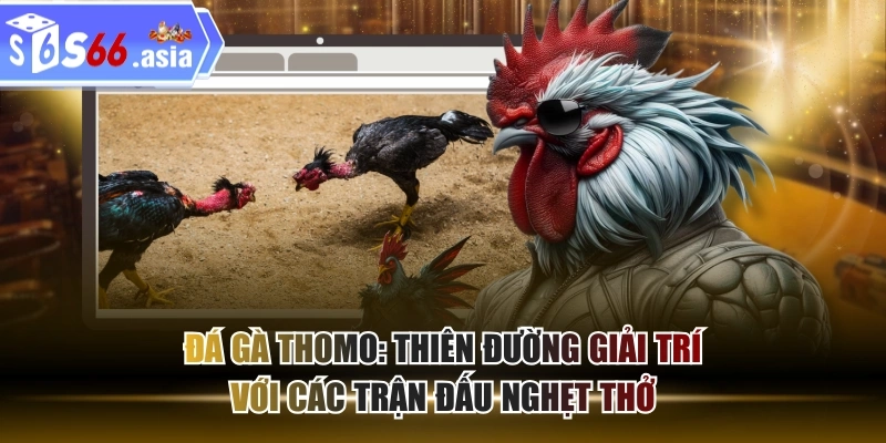 Các hình thức đá gà thomo phổ biến